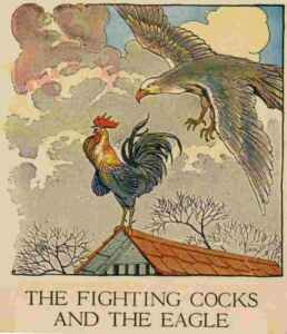 The Fighting Cocks & the Eagle