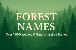 Illustrated forest with trees, glowing sunlight, and nature elements representing forest-inspired baby names and character ideas